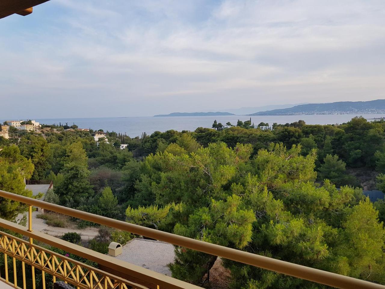 Pleiades Luxury Apartments ポルト・ヘリ エクステリア 写真